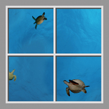 Ceiling Design CST05206_01 by David Fleetham