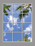Ceiling Mural kf-6el_6x8md