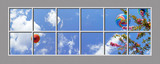 Ceiling Mural kf-6esF_4x12md