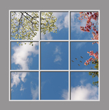 Ceiling Design kf-6vu_6x6md