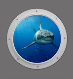 Photo Mural se-df064_2ft_porthole by David Fleetham