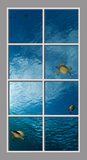 Ceiling Mural se-dfM10628_4x8md by David Fleetham
