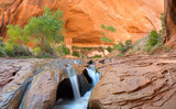 Photo Mural se-hd0547K by Henry Domke