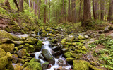 Photo Mural se-hd0661K by Henry Domke