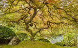 Photo Mural se-hd1026K by Henry Domke