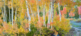 Photo Mural se-hd1331KP by Henry Domke