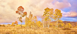 Photo Mural se-hd1339KP by Henry Domke