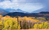 Photo Mural se-hd1351KH by Henry Domke