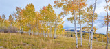 Photo Mural se-hd1355KP by Henry Domke