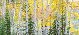 Photo Mural se-hd1394K by Henry Domke