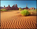 Photo Mural se-mh598-15 by Marty Hulsebos