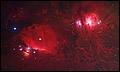 Star Ceiling se-rg012 by Robert Gendler