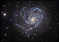 Star Ceiling se-rg025 by Robert Gendler