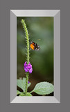 Photo Mural se-rs026_22x40crvr_Aluminum by Radim Schreiber