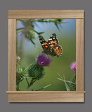 Photo Mural se-rs036_34x40cr_AC1_White-Oak by Radim Schreiber