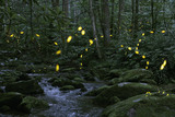 Star Ceiling se-rs050 by Radim Schreiber