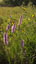 View a single frame from this scene at full resolution