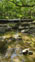 View a single frame from this scene at full resolution