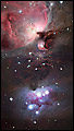 Star Ceiling se-rg022 by Robert Gendler