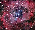 Star Ceiling se-rg026 by Robert Gendler